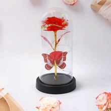Elegant LED Eternal Rose in Plastic Dome (1 Pc / Battery Not included) - Justgrabit Inc.
