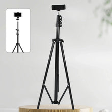Professional Tripod for DSLR Photography (Max Height 178cm, Multi - Head, Folding) - Justgrabit Inc.