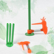 Small Woodpecker Fun Toy (1 Pc / Mix Color & Design) - justgrabit.in | Just Grab It