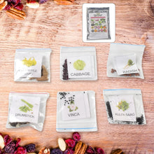 20 Varieties of Vegetable & Flower Seeds Combo (1 Pkt. / 20 Varieties) - Justgrabit Inc.