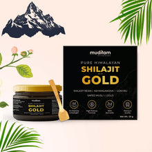 Himalayan Shilajit Gold Resin – 20g | Helps improve Stamina | Contains Gold - justgrabit.in | Just Grab It