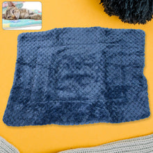 Pet Soft Cat Dog Towel, Warm Sleep Mat (50×37 Cm / 1 Pc / Mix Color & Design) - justgrabit.in | Just Grab It
