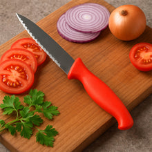 Stainless Steel Serrated Kitchen Knife (1 Pc) - justgrabit.in | Just Grab It