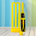 Small Cricket Kit for Boys & Girls, Cricket Set - justgrabit.in | Just Grab It