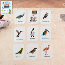 KidKraft Early Learner Educational Flashcards – 32 Birds - Justgrabit Inc.