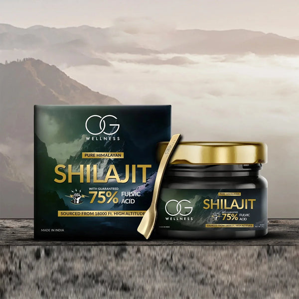 OG Wellness Pure Himalayan Shilajit Resin (20 GM / 1 Pc) - justgrabit.in | Just Grab It