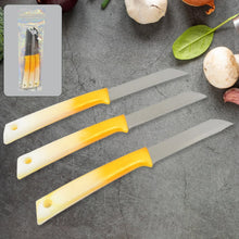 Kitchen Knife with Stainless Steel Blade (1 Pc) - justgrabit.in | Just Grab It