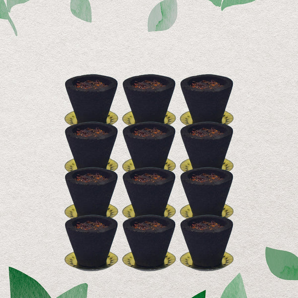 Premium Gugal Sambrani Cup Sambrani Havan Cups (12 Pcs Set) - justgrabit.in | Just Grab It