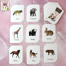 Kidkraft 32 - Piece Animal Flash Cards Set - Justgrabit Inc.