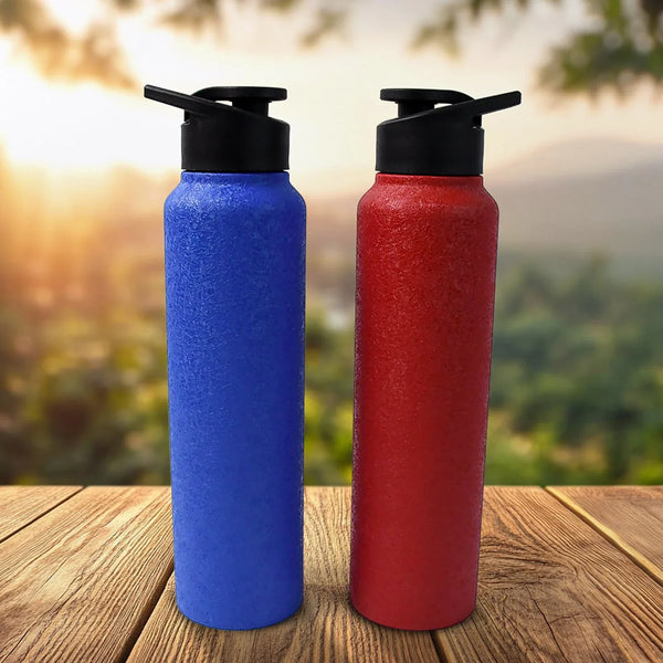 Stainless Steel Water Bottle, Fridge Water Bottle (1000ML / Mix Colour / 1 Pc) - Justgrabit Inc.