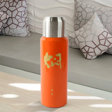 Stainless Steel Insulated Vacuum Flask Bottle (600ml) Approx - Justgrabit Inc.