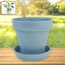 Heavy Plastic Flower pots With Tray (1 Pc) - Justgrabit Inc.