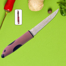 Multi - Purpose Stainless Steel Kitchen Cutting Knife (1 Pc) - justgrabit.in | Just Grab It