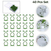 Plant Climbing Wall Fixture Clip Self - Adhesive Hook (40 Pcs Set / With plastic box) - justgrabit.in | Just Grab It