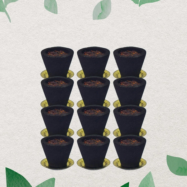Premium Gugal Sambrani Cup Sambrani Havan Cups (12 Pcs Set) - justgrabit.in | Just Grab It