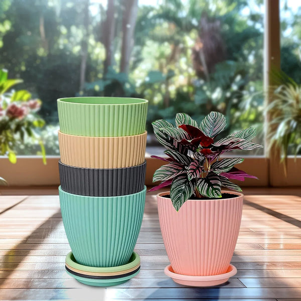 Round Flower Pot with Bottom Tray (5 Pcs Set / Small / 14×16 Cm) - justgrabit.in | Just Grab It