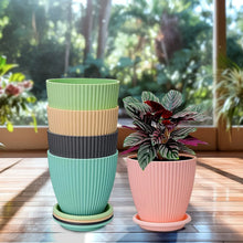 Round Flower Pot with Bottom Tray (5 Pcs Set / Small / 14×16 Cm) - justgrabit.in | Just Grab It