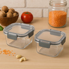 Apex Press N’ Lock Airtight Food Storage Container Set (2Pc/450ml) Approx - justgrabit.in | Just Grab It