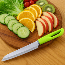 Premium Stainless Steel Kitchen Utility Knife (1 Pc) - justgrabit.in | Just Grab It