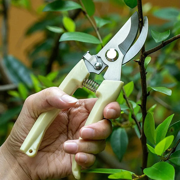 Stainless Steel Pruning Shears with Sharp Blades and Comfortable handle - Durable Hand Pruner for Comfortable and Easy Cutting, Heavy Duty Gardening Cutter Tool Plant Cutter for Home Garden | Wood Bran (1 Pc) - Justgrabit Inc.