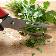 Multipurpose Heavy Duty Kitchen Scissors (1 Pc) - justgrabit.in | Just Grab It