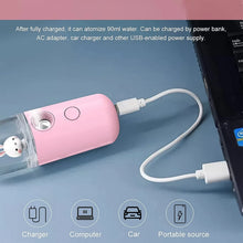 Portable Mini Facial Steamer – USB Rechargeable Nano Mist Sprayer with Cute Cartoon Design - Justgrabit Inc.