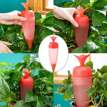Self Watering Spike Plant Watering Globes And Automatic Plant Watering System (1 Pc) - justgrabit.in | Just Grab It