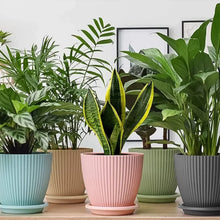 Plastic Flower Pot with Bottom Tray (5 Pcs Set) - justgrabit.in | Just Grab It