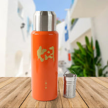 Stainless Steel Insulated Vacuum Flask Bottle (600ml) Approx - Justgrabit Inc.