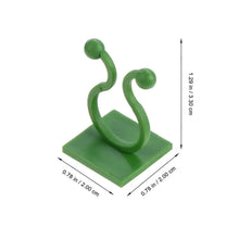 Plant Climbing Wall Fixture Clip Self - Adhesive Hook (Approx 200 Pcs Set) - justgrabit.in | Just Grab It