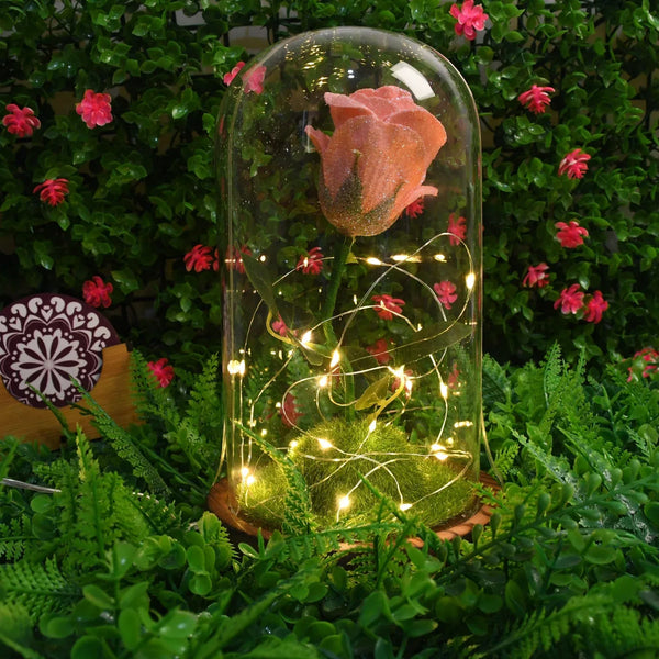 Glass Flower with Led Light Great Gift (1 Set) - justgrabit.in | Just Grab It