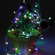 Hanging Lights for home decoration 4Mtr - Justgrabit Inc.