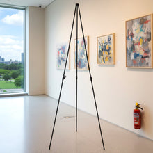 66 Inch Long Adjustable Metal Tripod Easel Stand with Carry Bag (1 Pc) - justgrabit.in | Just Grab It