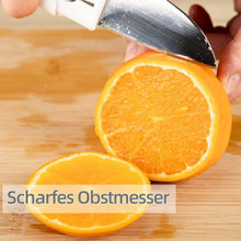 Dual - Use Knife and Peeler, 2 - in - 1 Stainless Steel Blades Wiith case (1 Pc) - justgrabit.in | Just Grab It