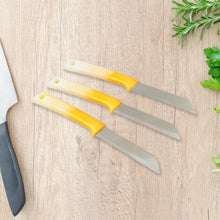 Kitchen Knife with Stainless Steel Blade (1 Pc) - justgrabit.in | Just Grab It