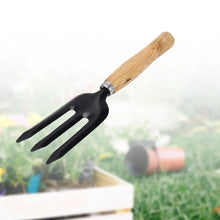 Hand Weeding Fork (Steel, Black) - Justgrabit Inc.