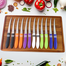 Stainless Steel Multipurpose Serrated Knife Set (12 Pc) - justgrabit.in | Just Grab It
