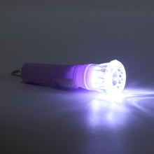 Mini LED Flashlight Keychain Torch (Mix Color & 1 Pc) - justgrabit.in | Just Grab It