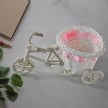 Plastic Cycle Flower Vases For Home Decor; Bicycle Flower Pot Stand (1 Pc) - Justgrabit Inc.