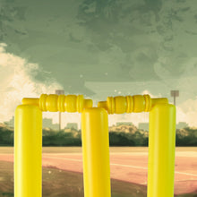 Cricket Kit with Bat, Rubber Ball, Bails, 3 Stumps & Stand Base - justgrabit.in | Just Grab It