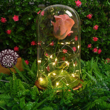 Glass Flower with Led Light Great Gift (1 Set) - justgrabit.in | Just Grab It