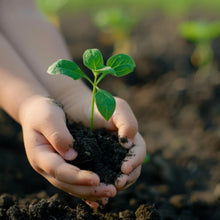 Organic Vermicompost Black Soil for Plants Health Manure (1 KG Approx) - justgrabit.in | Just Grab It