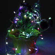 Hanging Lights for home decoration - Justgrabit Inc.