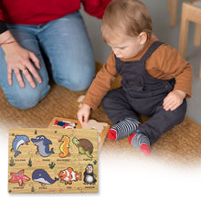 Seawater Animal Wooden Puzzle Learning Educational Board (1 Set) - justgrabit.in | Just Grab It