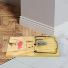 Wooden Mouse Rat Traps (1 Pc) - Justgrabit Inc.