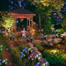 Waterproof Outdoor Solar Lily Flower Stake Lights ( Pack Of 2 pcs ) - justgrabit.in | Just Grab It