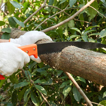 Heavy Duty Gardening Pruning Tool Combo Set (2 Pc Set) - justgrabit.in | Just Grab It