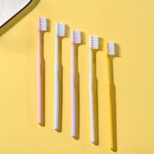 Plastic Toothbrush With Plastic Round Box (20 pcs Set) - justgrabit.in | Just Grab It