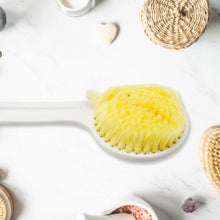 Body Back Scrubber Brush Long Handle (1 Pc / 40 CM) - justgrabit.in | Just Grab It