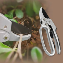 Pruning Shear Garden Shear Steel, Hand Shears, 20 Cm / 8 inch (1 Pc) - justgrabit.in | Just Grab It